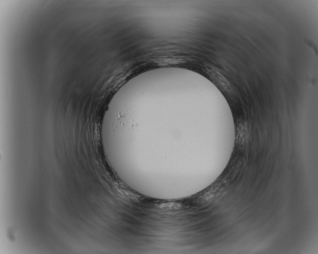 X0000098110426200804040805