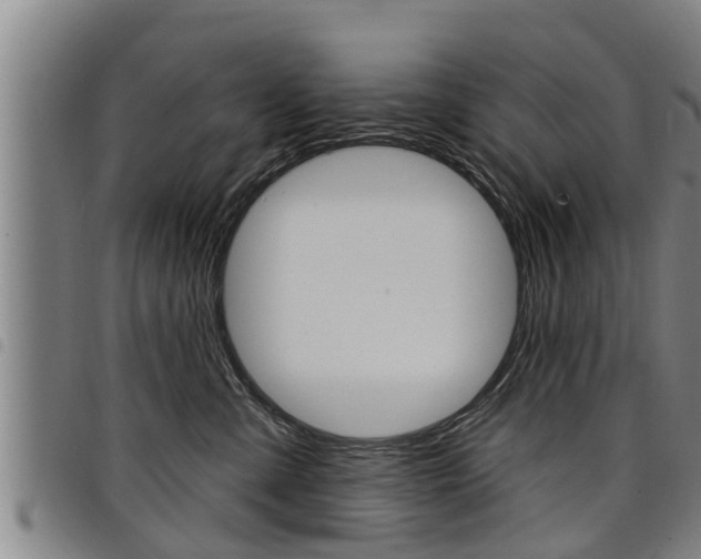 X0000098110427200804040805