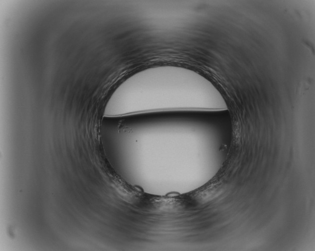 X0000098110428200804040805