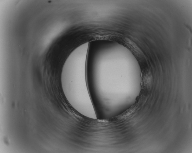 X0000098110429200804040805