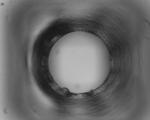 X0000098110430200804040805