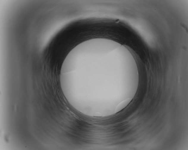 X0000098110431200804040805