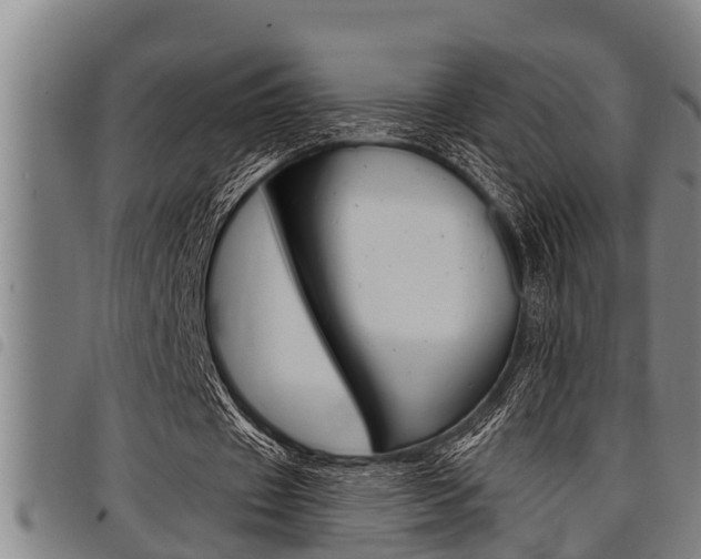X0000098110433200804040805