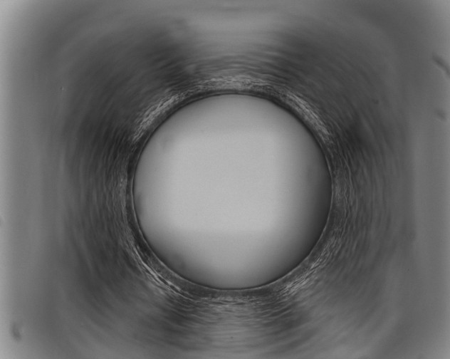 X0000098110434200804040805