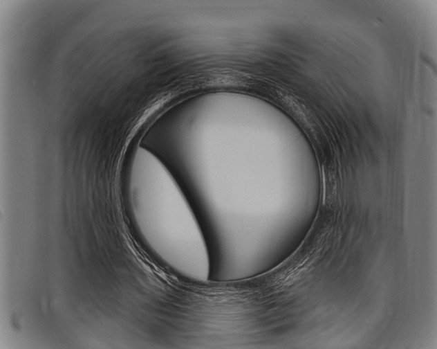 X0000098110435200804040805