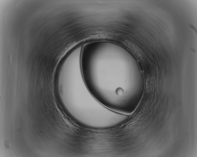 X0000098110436200804040805