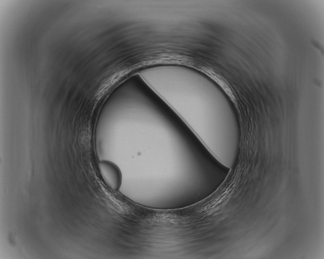 X0000098110437200804040805