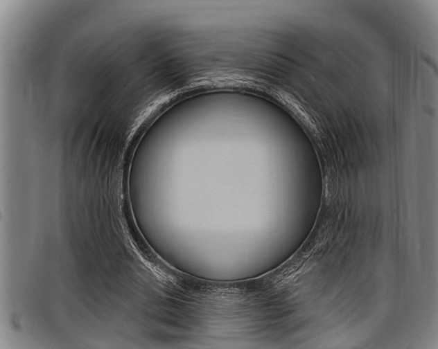X0000098110438200804040805