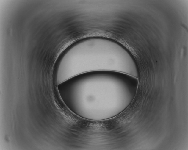 X0000098110440200804040805