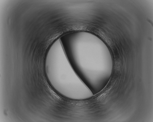 X0000098110441200804040805