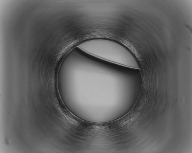 X0000098110442200804040805