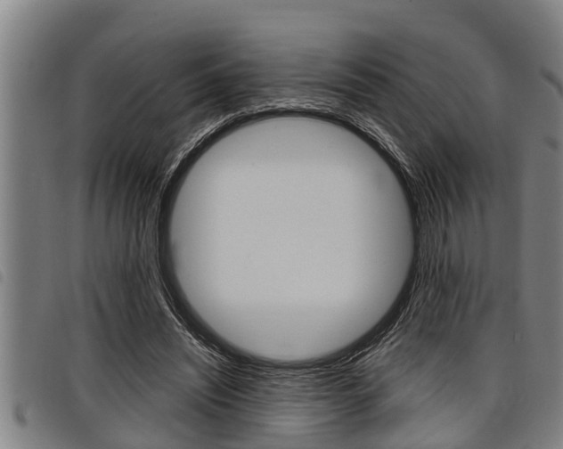 X0000098110444200804040805