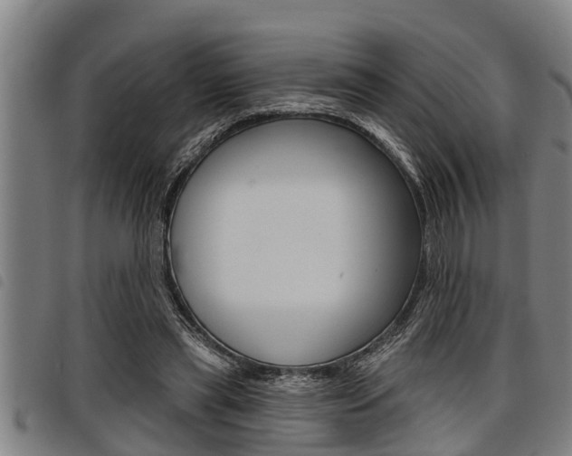 X0000098110445200804040805