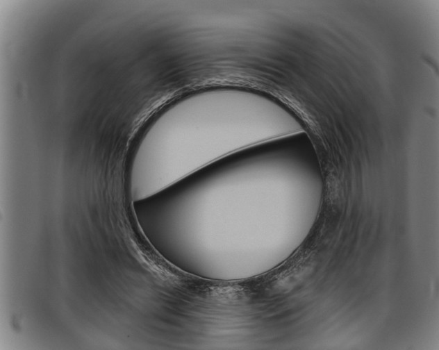 X0000098110446200804040805
