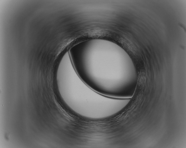 X0000098110448200804040805