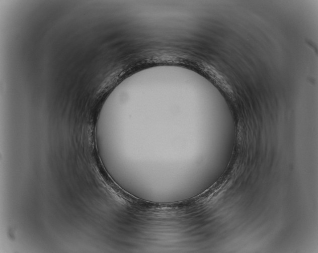 X0000098110449200804040805