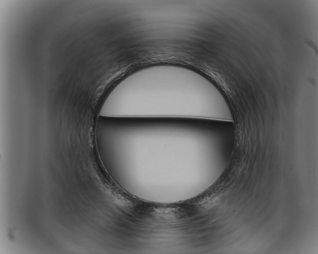 X0000098110450200804040805