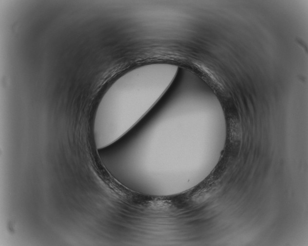 X0000098110451200804040805