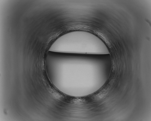 X0000098110453200804040805