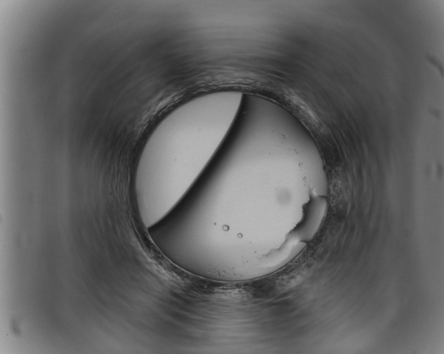 X0000098110454200804040805