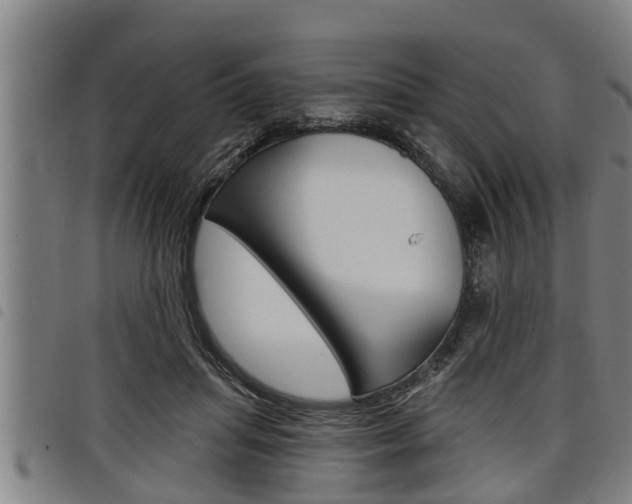 X0000098110455200804040805
