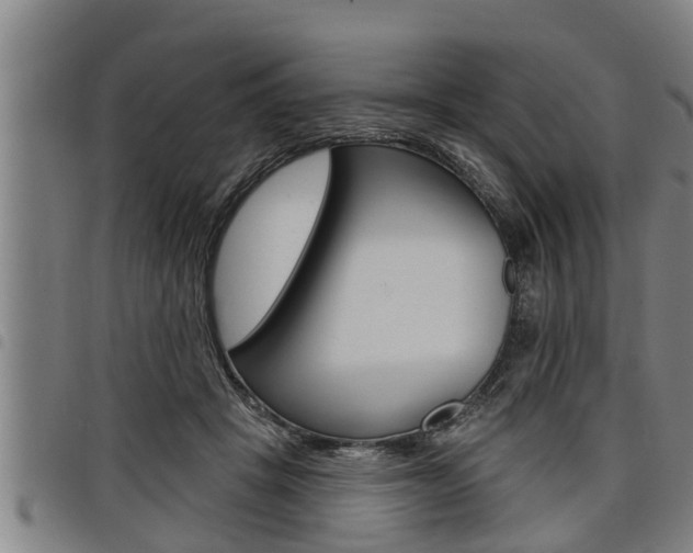 X0000098110457200804040805
