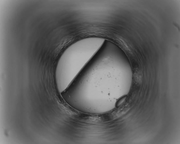 X0000098110458200804040805