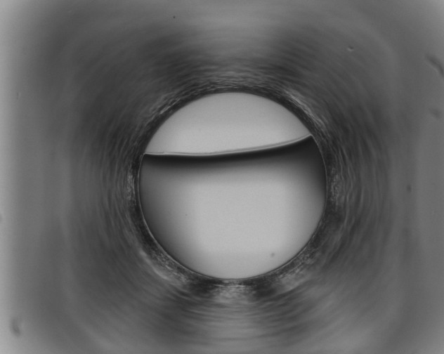 X0000098110459200804040805