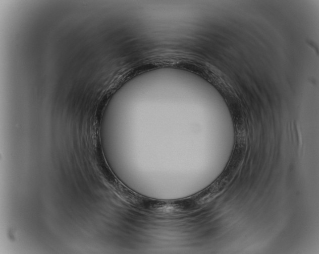X0000098110460200804040805
