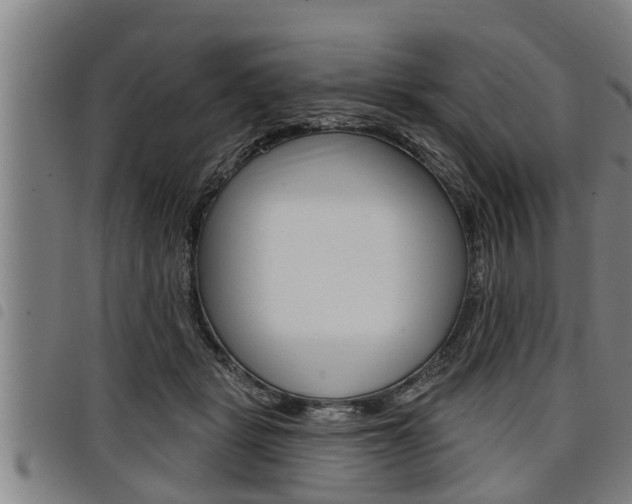 X0000098110461200804040805