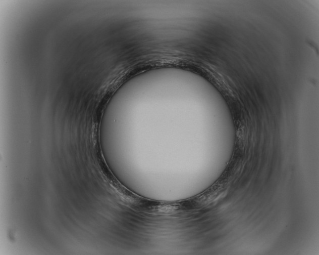 X0000098110462200804040805