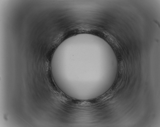 X0000098110463200804040805