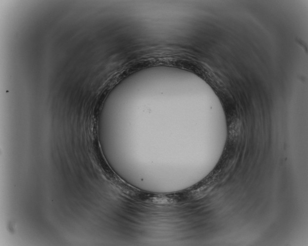 X0000098110464200804040805