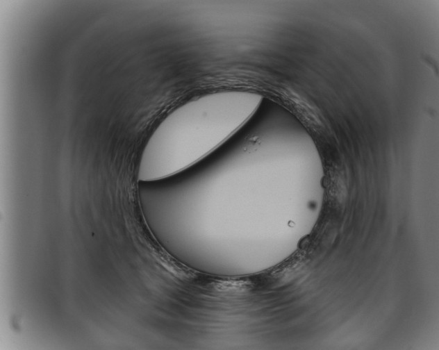 X0000098110465200804040805