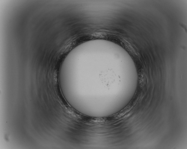 X0000098110466200804040805