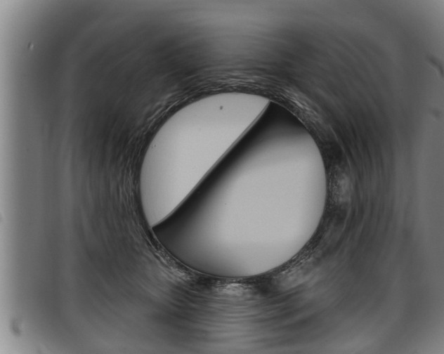 X0000098110467200804040805