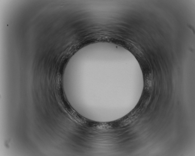 X0000098110468200804040805