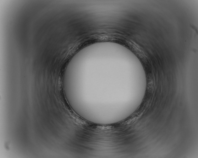 X0000098110469200804040805