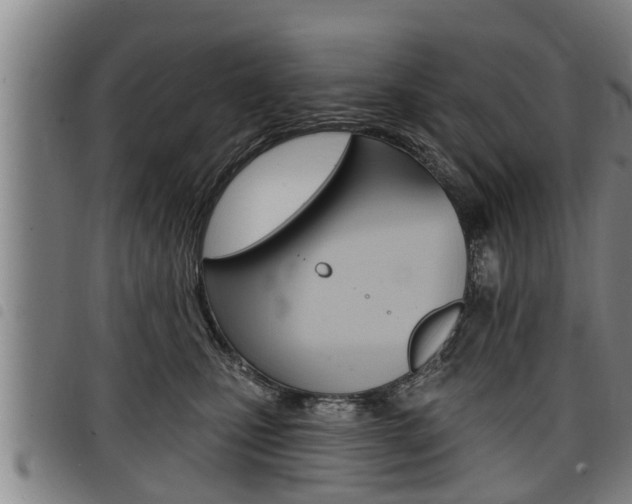 X0000098110471200804040805