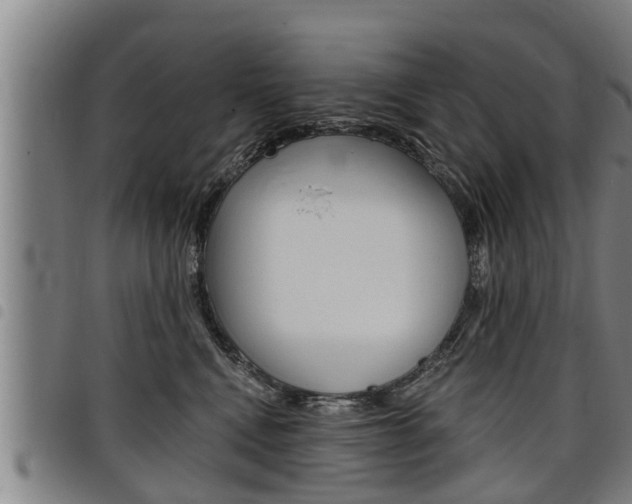 X0000098110472200804040805