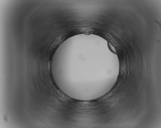 X0000098110473200804040805
