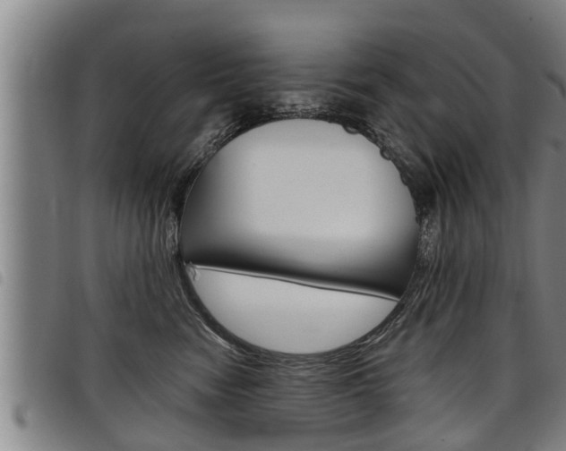 X0000098110474200804040805