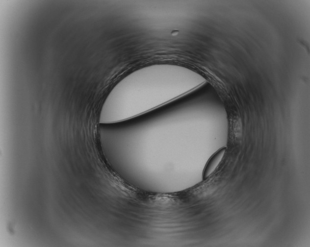 X0000098110475200804040805