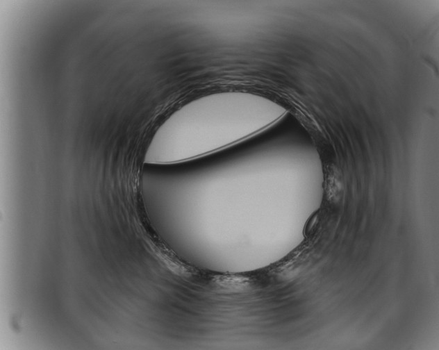 X0000098110476200804040805
