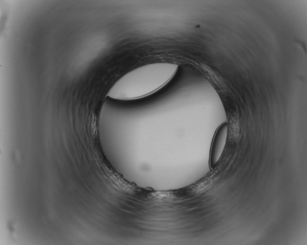 X0000098110477200804040805