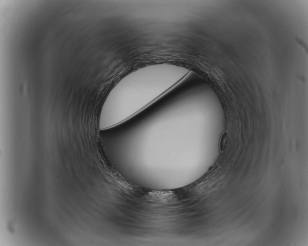 X0000098110480200804040805