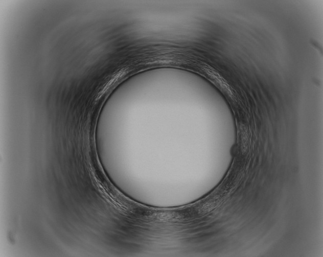 X0000098110482200804040805