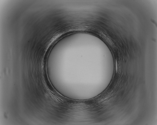 X0000098110483200804040805