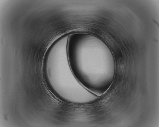 X0000098110484200804040804