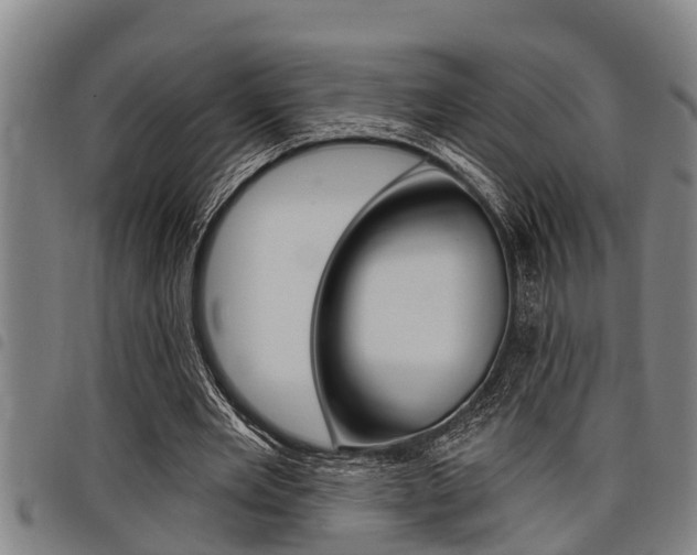 X0000098110485200804040804